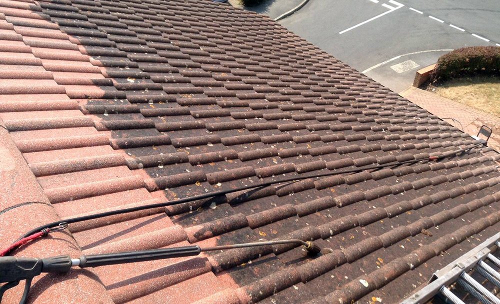 Before Roof Clean
